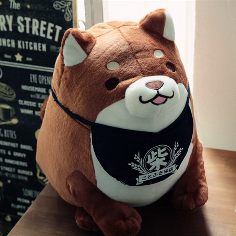 One day, the three brothers Shiba adorable | Magic Stories