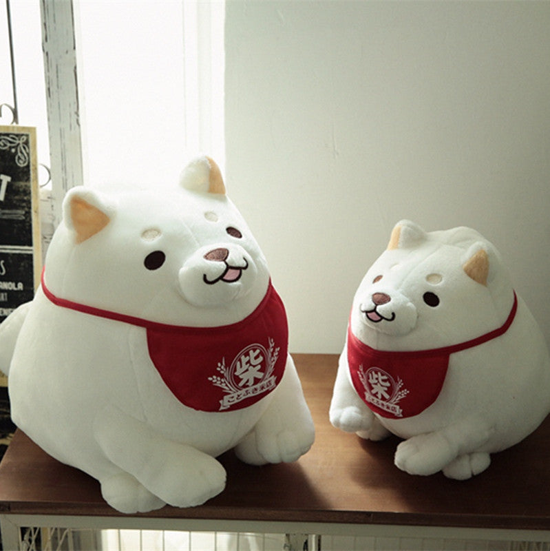 One day, the three brothers Shiba adorable | Magic Stories