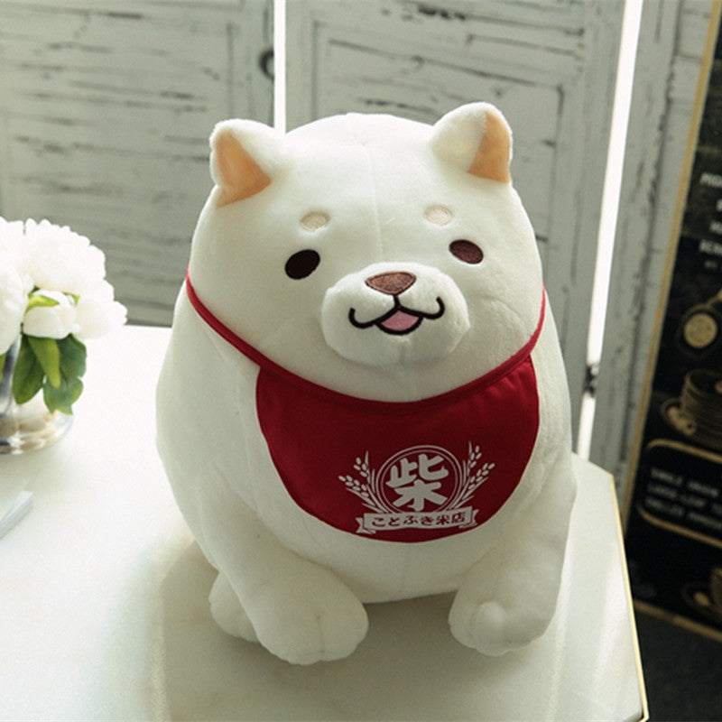 One day, the three brothers Shiba adorable | Magic Stories