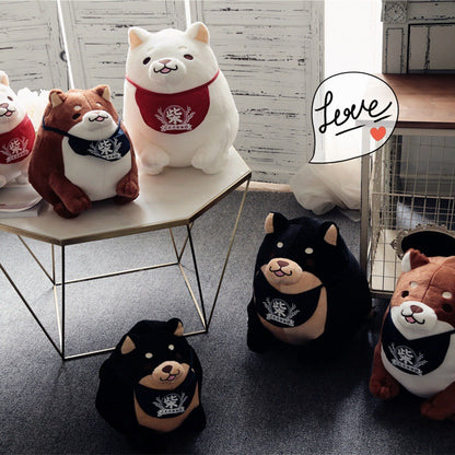One day, the three brothers Shiba adorable | Magic Stories