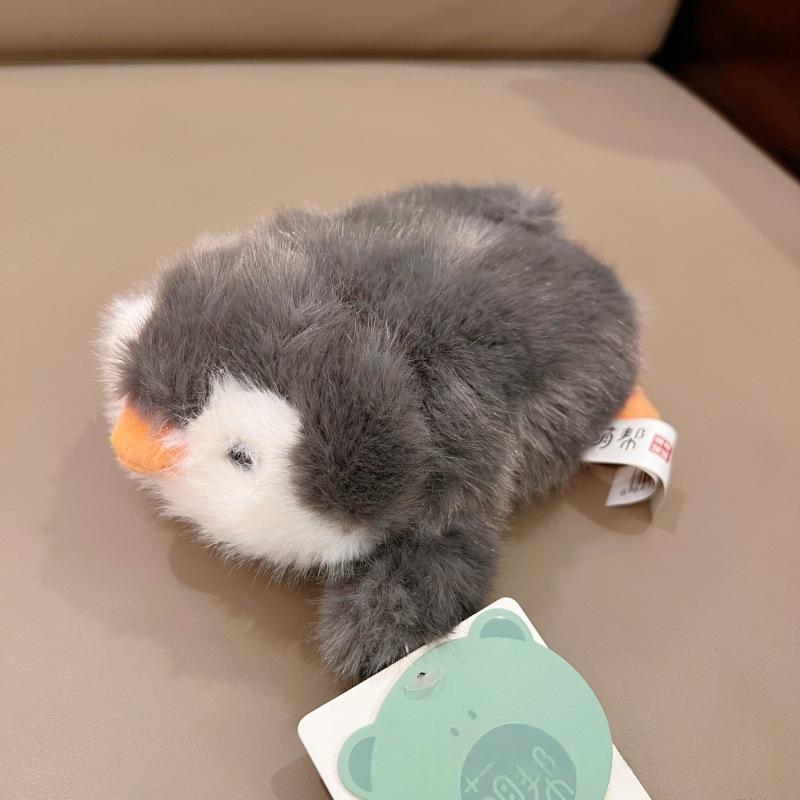 Cute Little Raccoon Plush Toy | Magic Stories