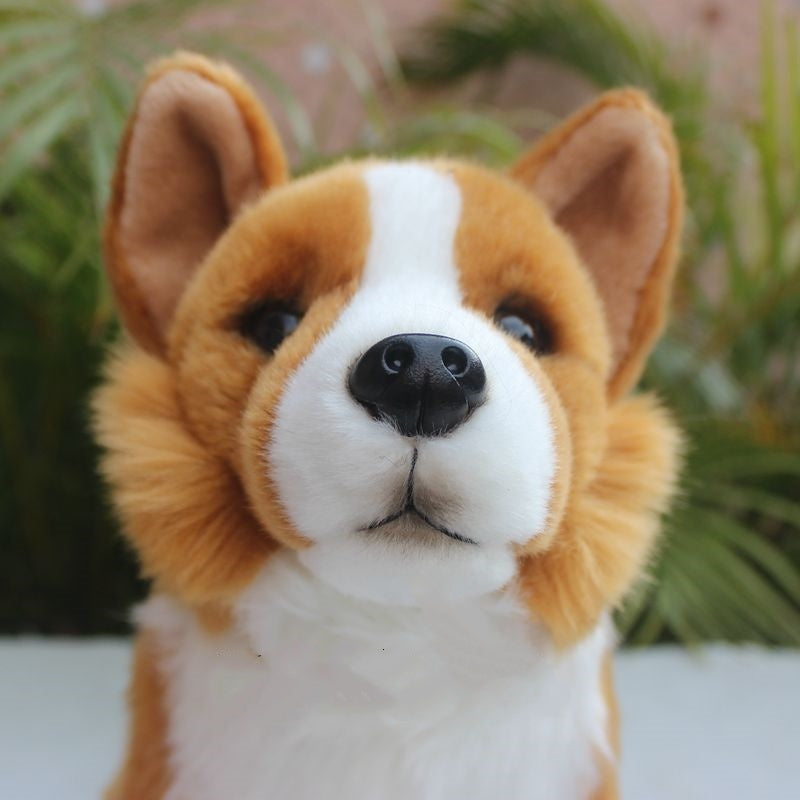 Simulated Corgi Dog Puppy Doll Plush Toy | Magic Stories
