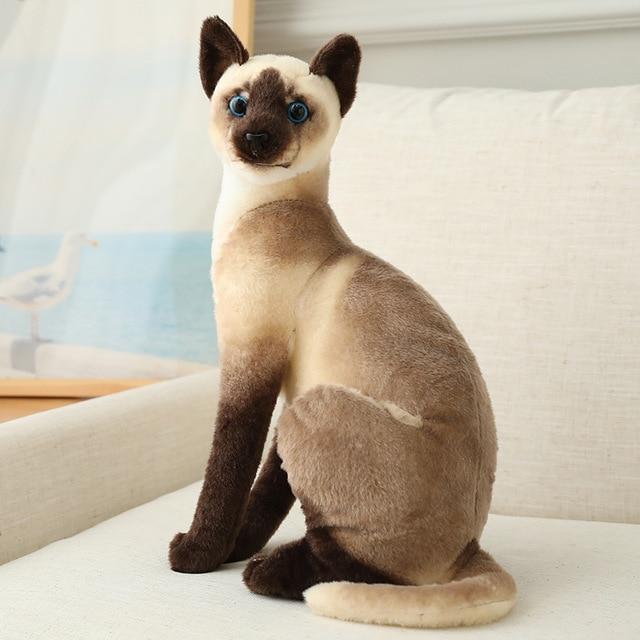 Cat Plush Toys — scale reference