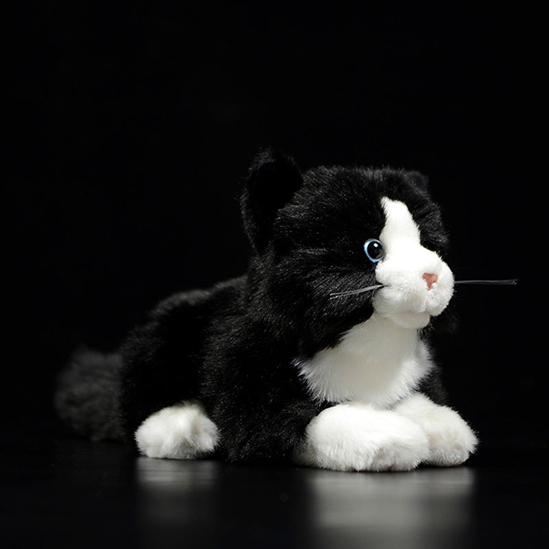 Cute Pure White Cat Plush Toy Cute | Magic Stories