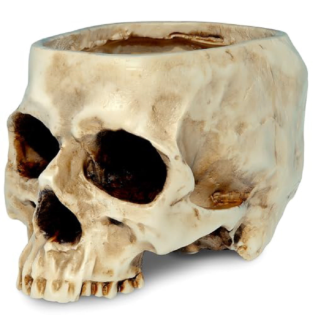 Halloween Prop Creative Resin Skull Flowerpot — in use