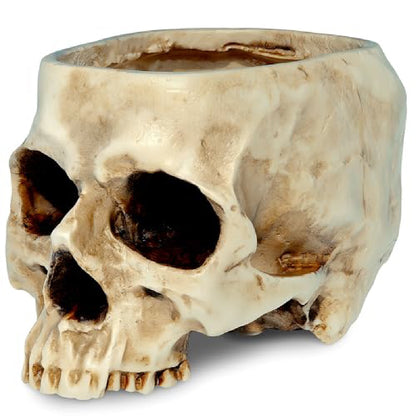 Halloween Prop Creative Resin Skull Flowerpot — in use