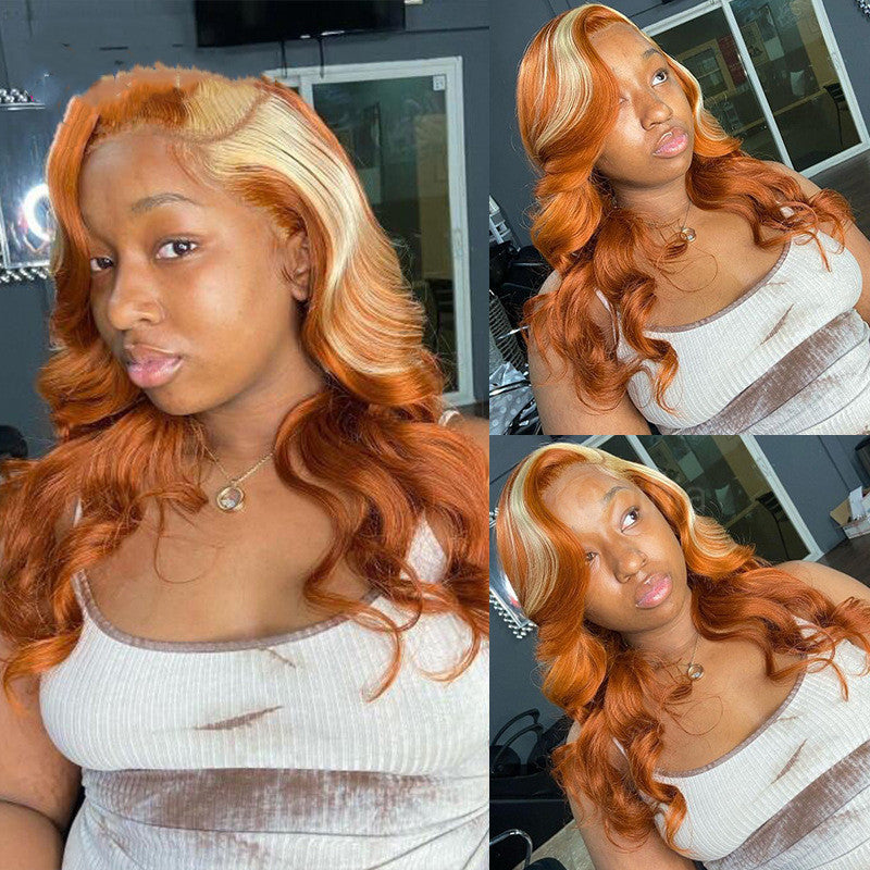 Front Lace Wig - #350 Highlights, Two-Tone Long Hair — back view