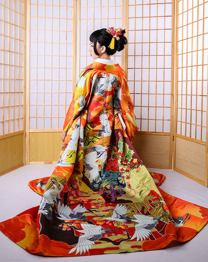 Auspicious Clouds And Cranes Jinxiutu Kimono Formal Dress — scale reference