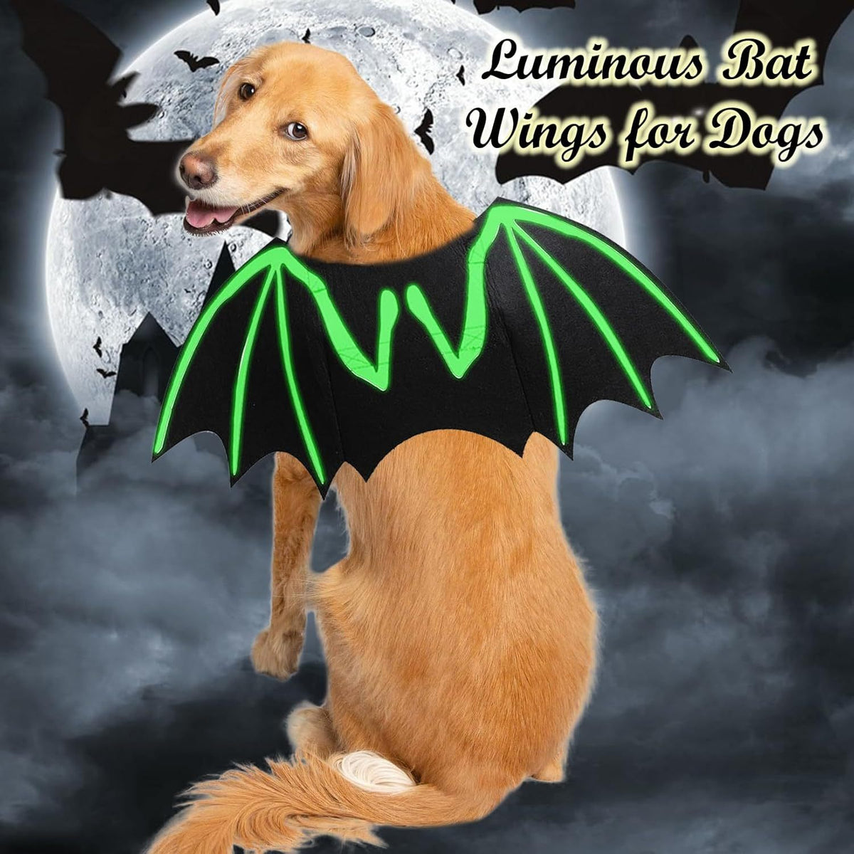 Dog Halloween Costume — scale reference