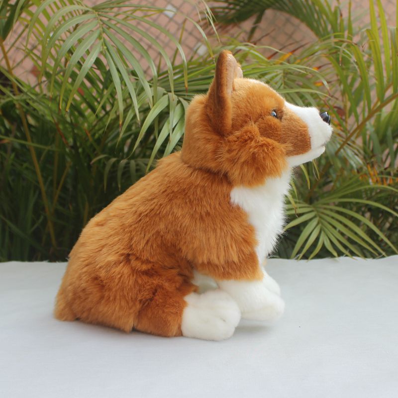 Simulated Corgi Dog Puppy Doll Plush Toy | Magic Stories