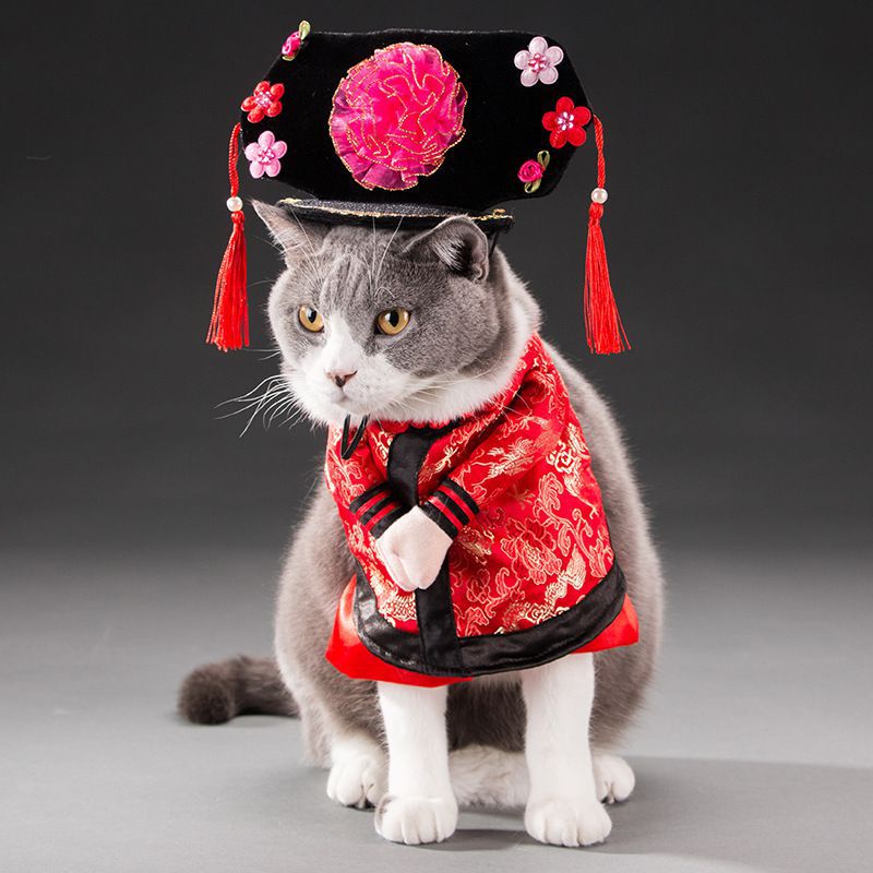 Spring and autumn pet cat costume | Magic Stories