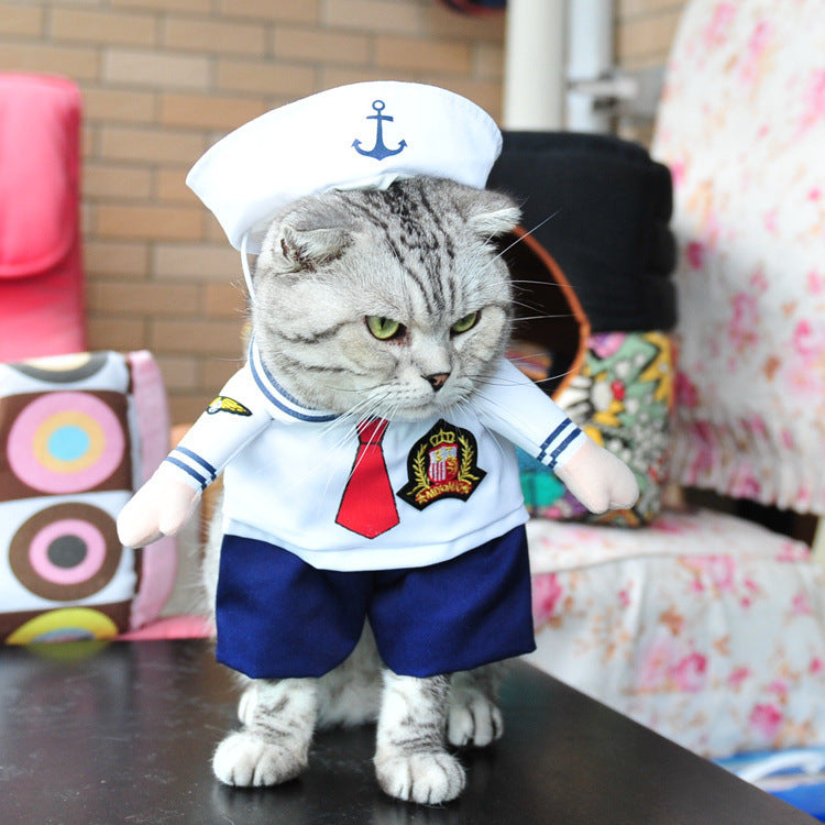 Spring and autumn pet cat costume | Magic Stories
