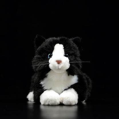 Cute Pure White Cat Plush Toy Cute | Magic Stories