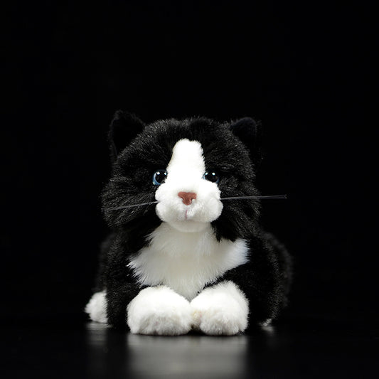 Cute Pure White Cat Plush Toy Cute | Magic Stories