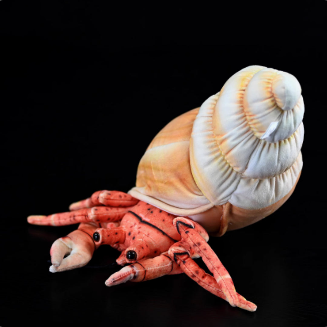 Simulated Hermit Crab Plush Toy Cute Knife | Magic Stories