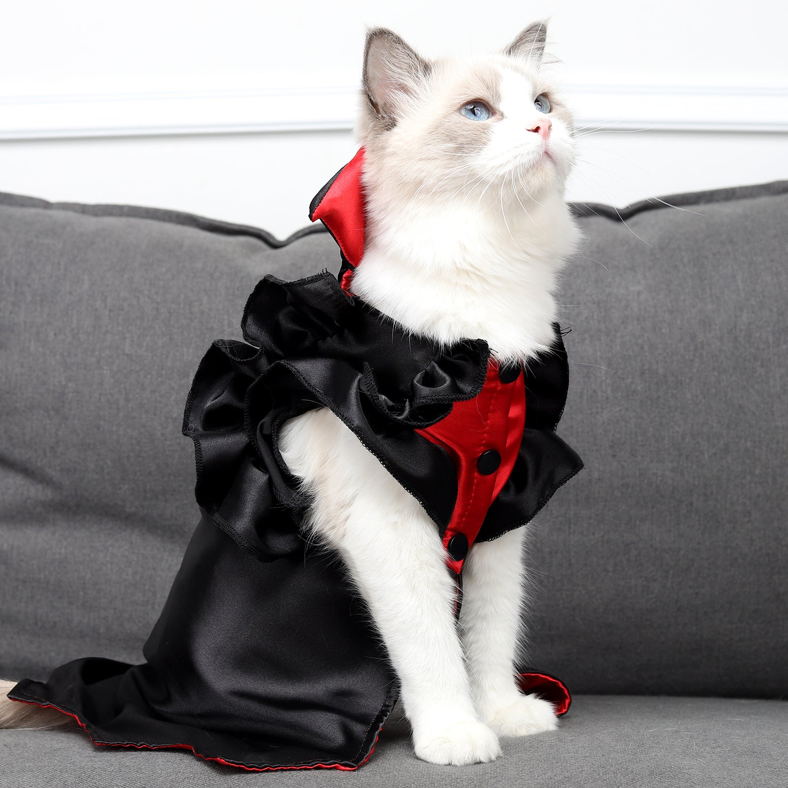 Cat Halloween Vampire Transformation Costume — side view