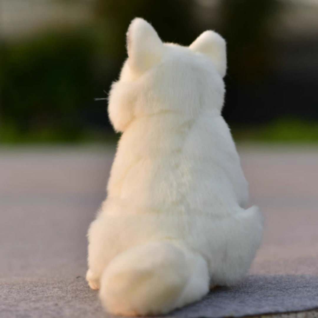 Plush Toys, Animal Dolls, And Plush Toys — packaging