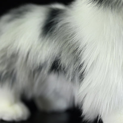 Border Collie Simulation Plush Toy | Magic Stories
