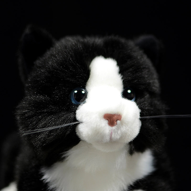 Cute Pure White Cat Plush Toy Cute | Magic Stories