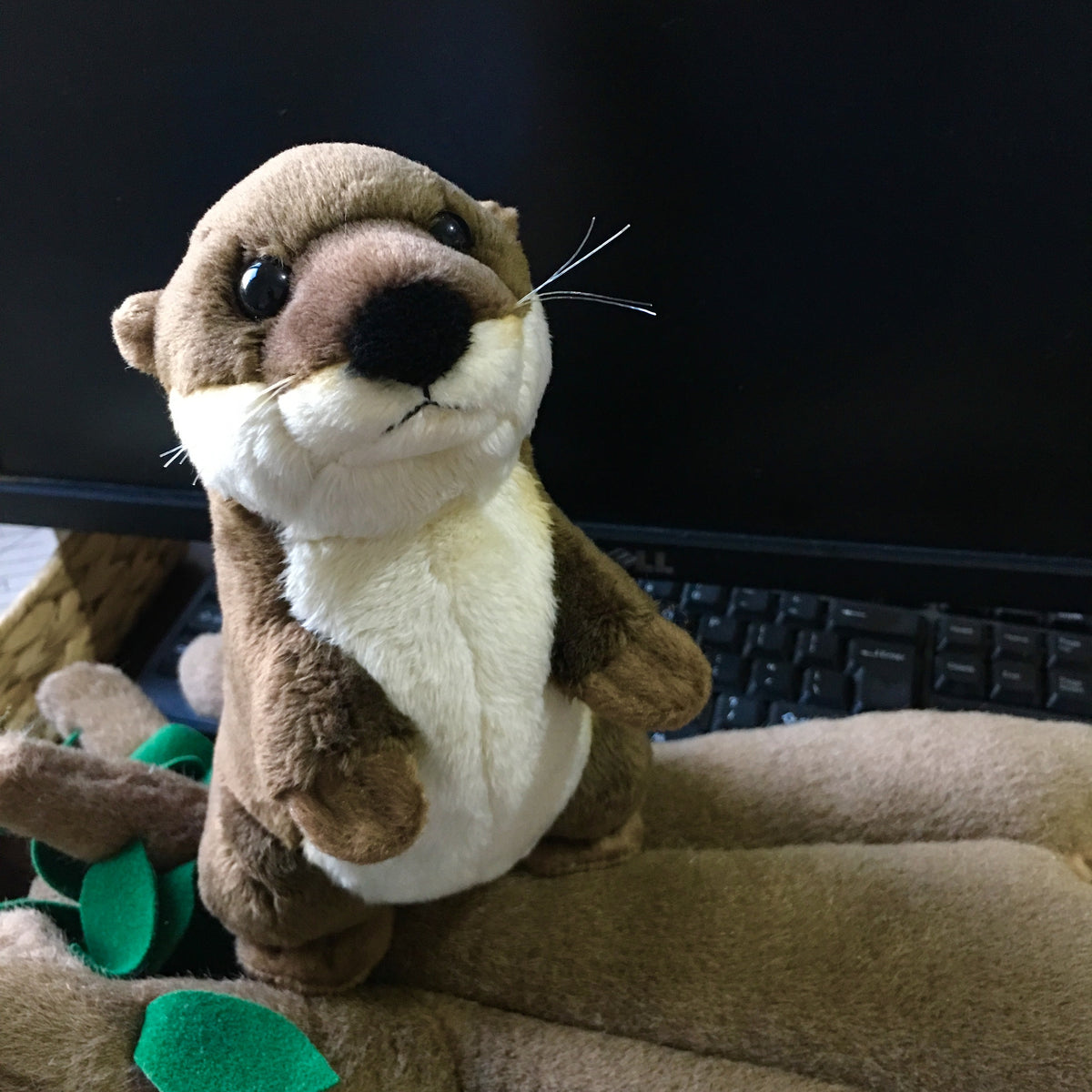 Mascot otter plush toy — packaging