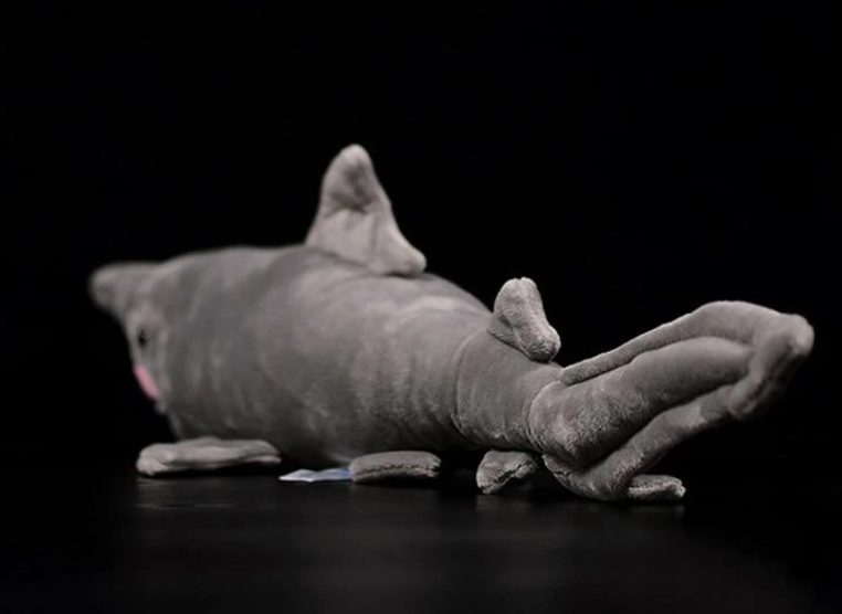 Shark Soft Stuffed Plush Toy | Magic Stories