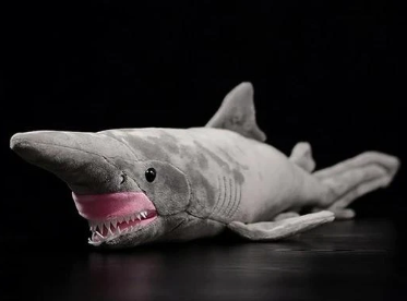 Shark Soft Stuffed Plush Toy | Magic Stories