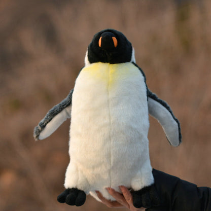 Simulation Emperor Penguin Antarctic Penguin | Magic Stories
