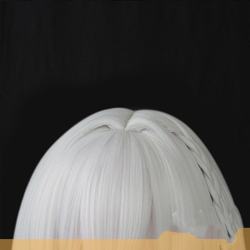 cosplay wig fake hair — back view