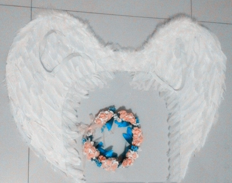 Feather angel wings stage performance | Magic Stories