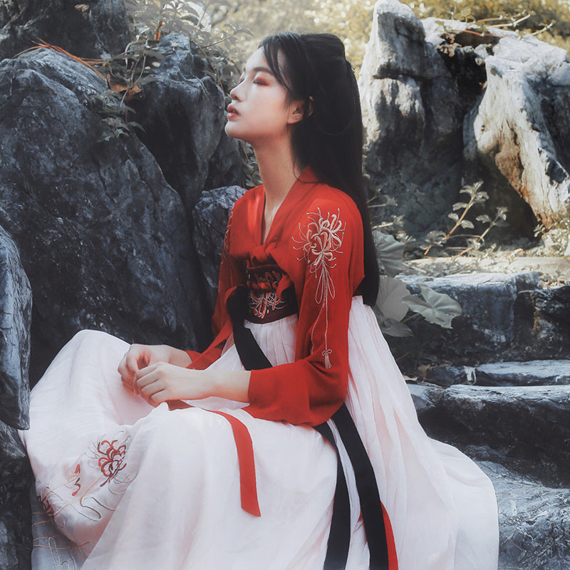 Chinese Hanfu Heritage Duo — Long Traditional Hanfu Robe + Red Hanfu Costume — back view
