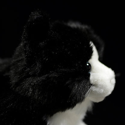 Cute Pure White Cat Plush Toy Cute | Magic Stories