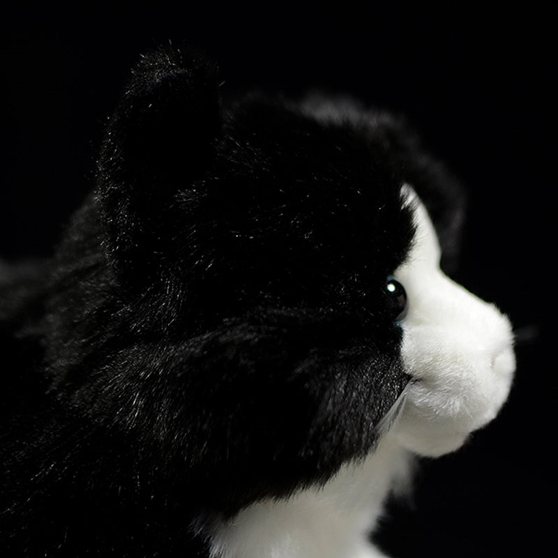 Cute Pure White Cat Plush Toy Cute | Magic Stories