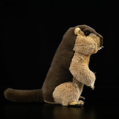 Squirrel Small Animal Plush Home Decoration | Magic Stories