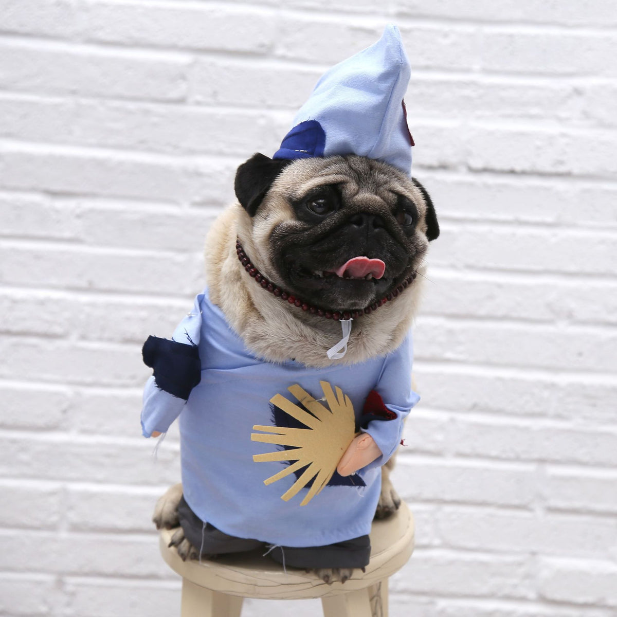 Spring and autumn pet cat costume | Magic Stories