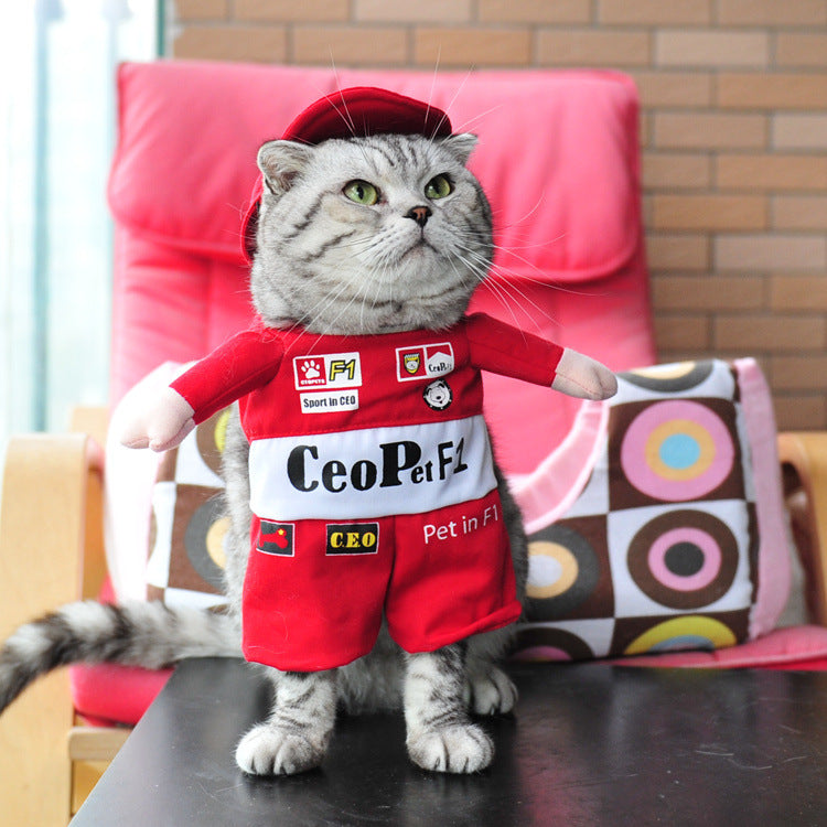 Spring and autumn pet cat costume | Magic Stories