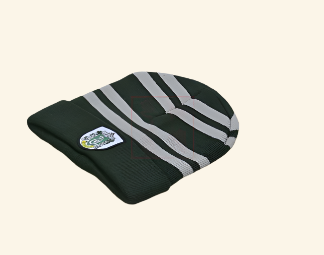 Embroidered Wizard House Badge Hat — back view