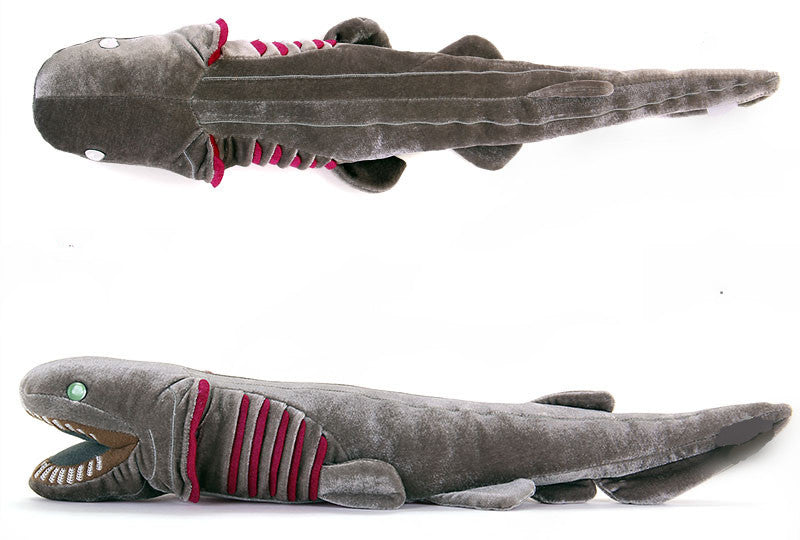 Cute Frilled Shark Doll Animal Plush Toy — packaging