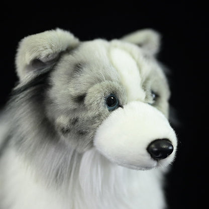 Border Collie Simulation Plush Toy | Magic Stories