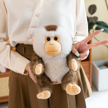 Cute Beiwei Dolphin Monkey Plush Toy | Magic Stories