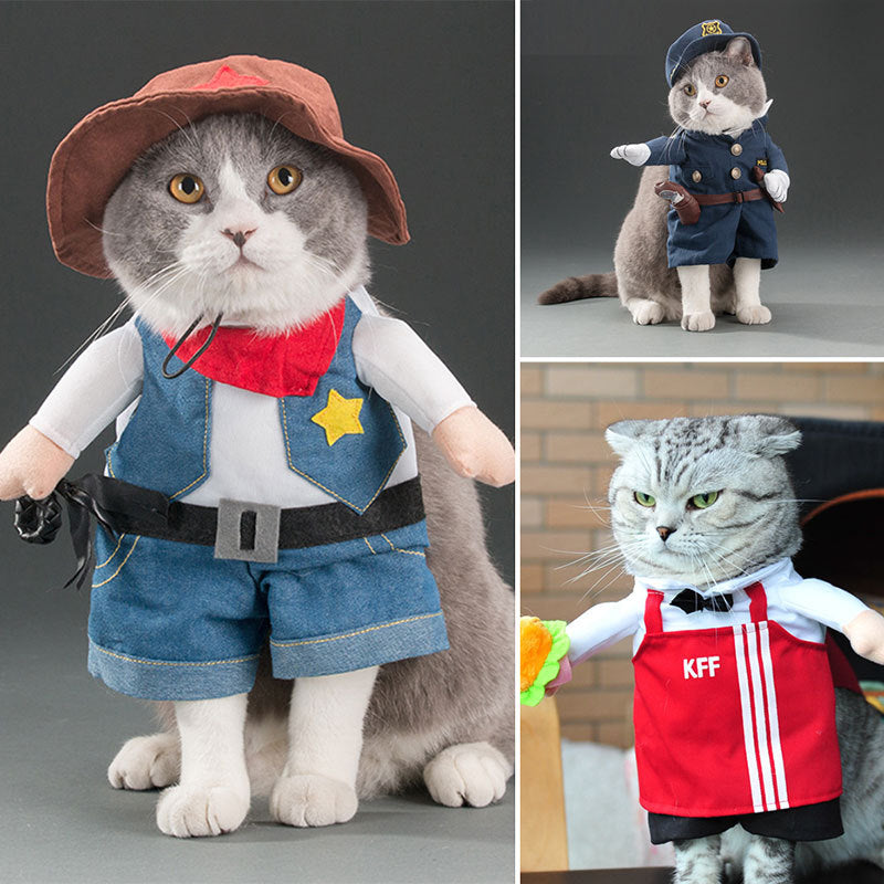 Spring and autumn pet cat costume | Magic Stories