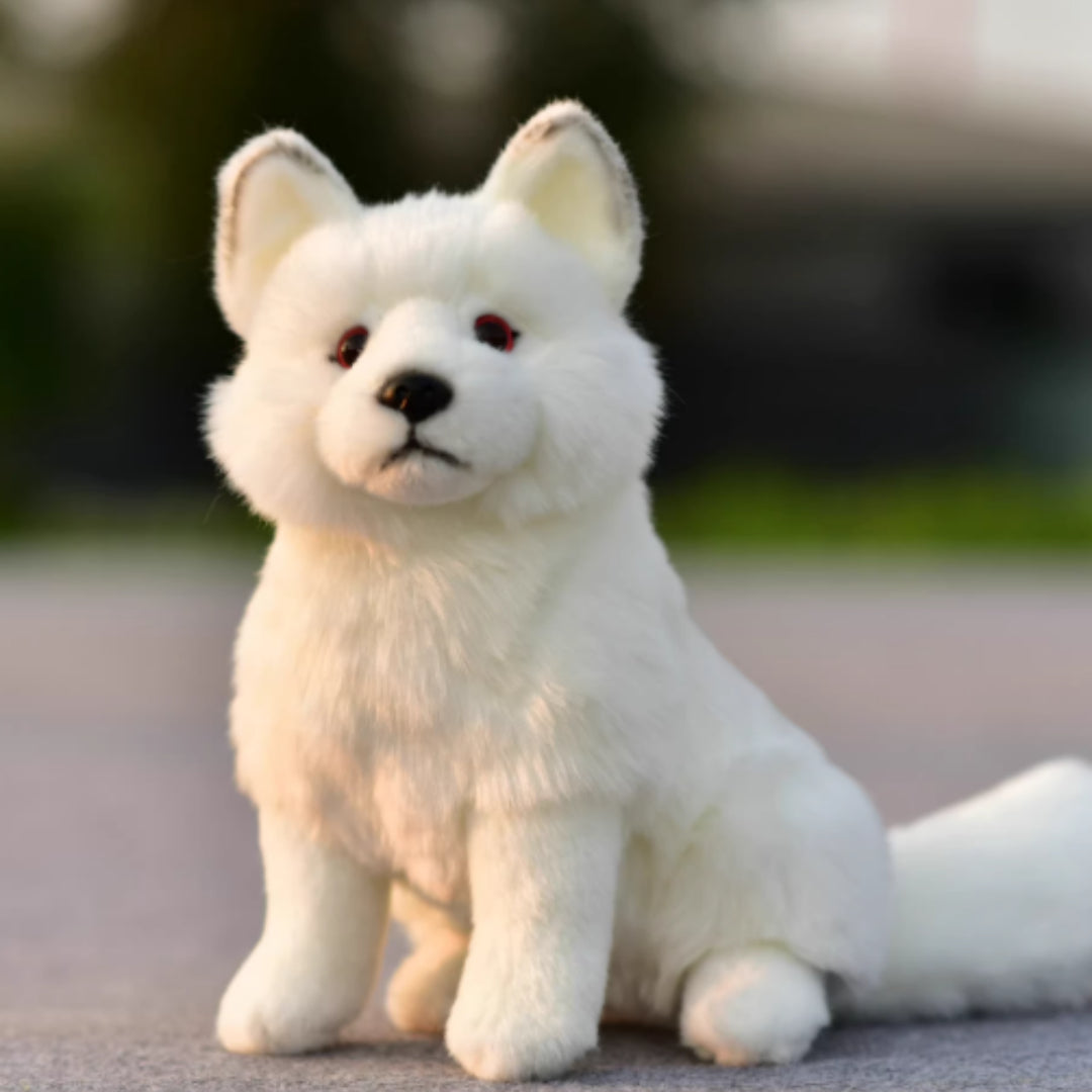 Plush Toys, Animal Dolls, And Plush Toys — back view
