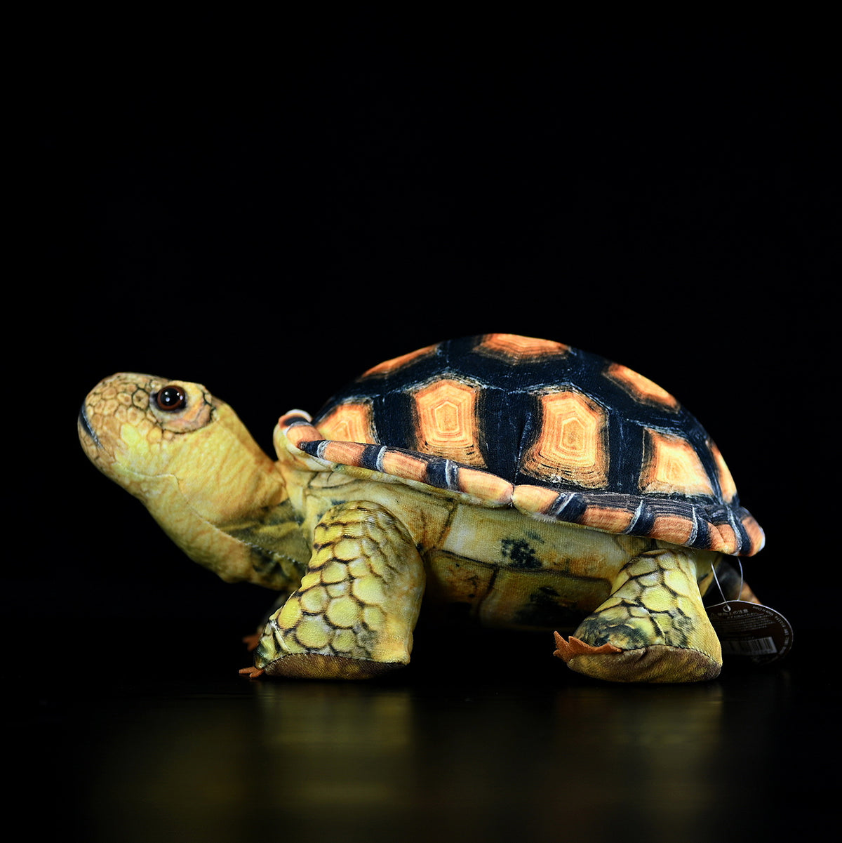 Simulated Land Turtle Doll Cute Turtle Doll | Magic Stories