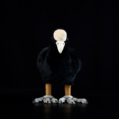 Coot Plush Toy Cute White-crowned Coon Plush | Magic Stories