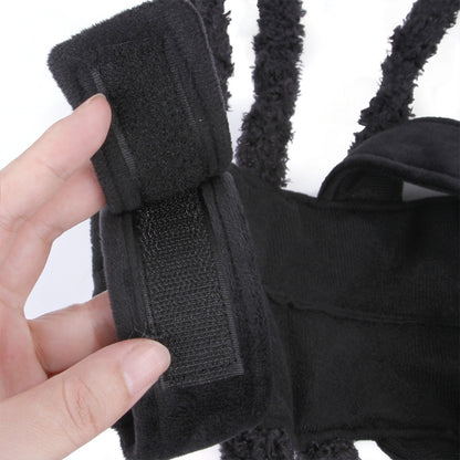 Pet Halloween Funny Spider Chest Back Creative Cat Dog Small Dog Transformation Costume For Dogs Cats Party — back view