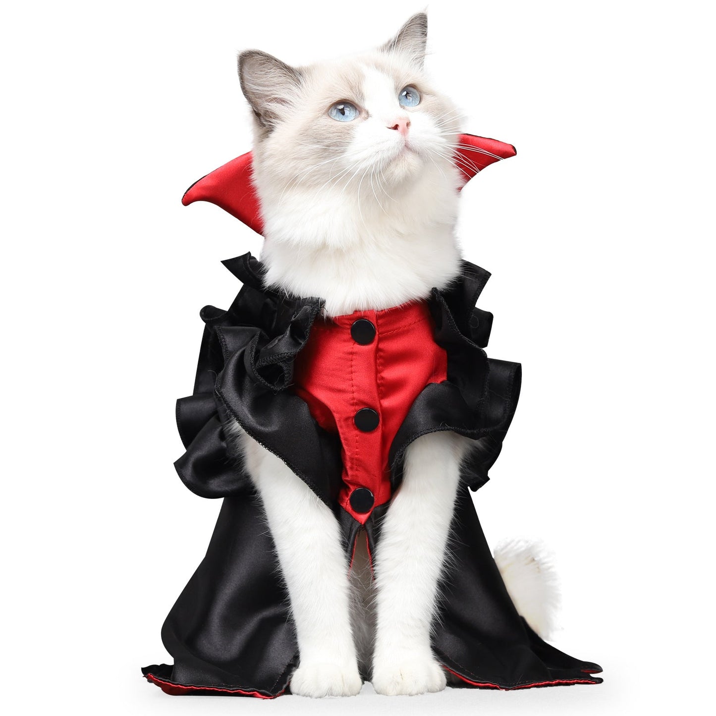 Pet & Owner Matching Vampire Halloween Duo — Cat Vampire Costume + Women's Vampire Show Costume
