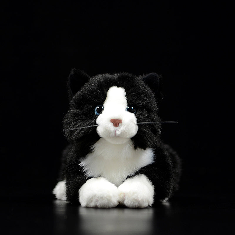 Cute Pure White Cat Plush Toy Cute | Magic Stories
