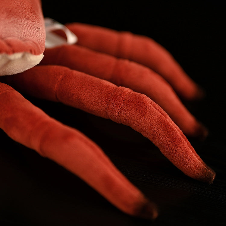 Brown Crab Doll Plush Toys | Magic Stories