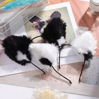 Cat Ear Band Cosplay Girl | Magic Stories