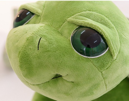 Big eye turtle plush toy | Magic Stories