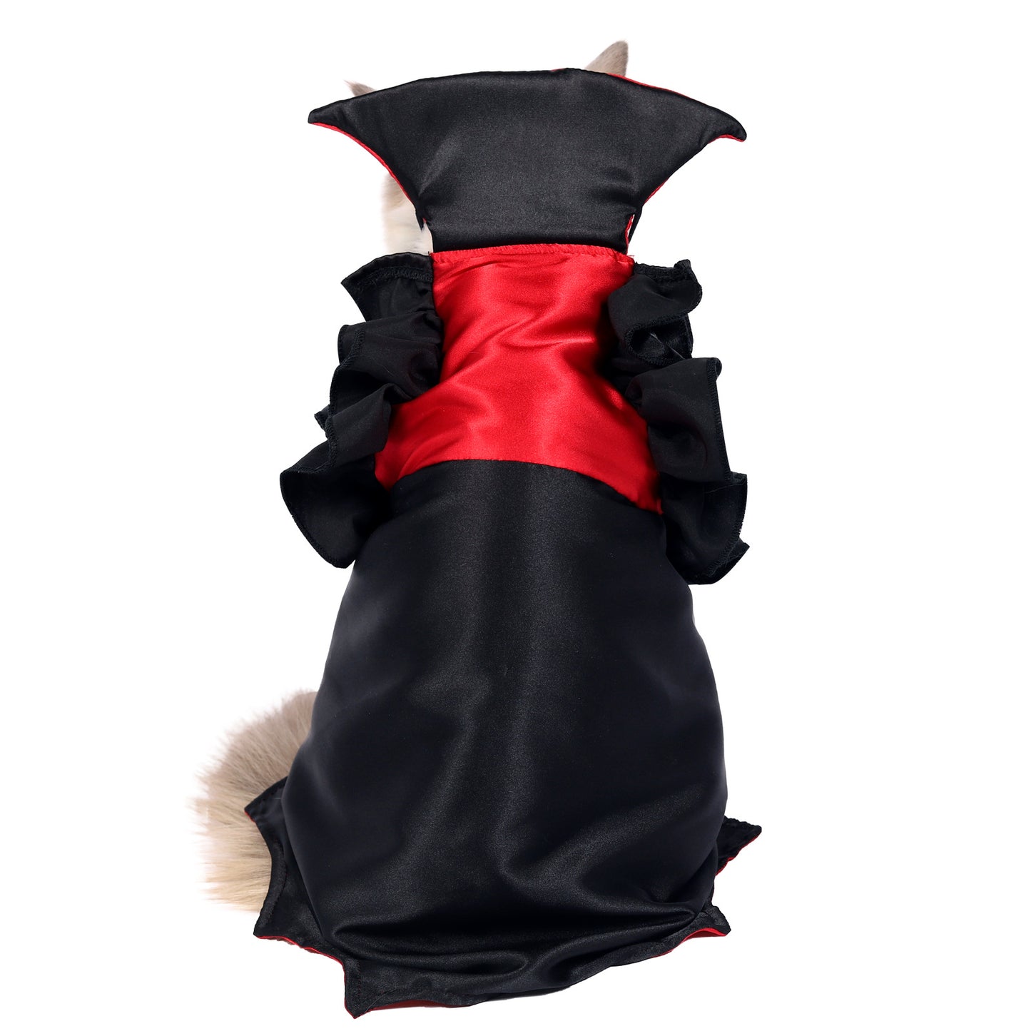 Cat Halloween Vampire Transformation Costume — back view